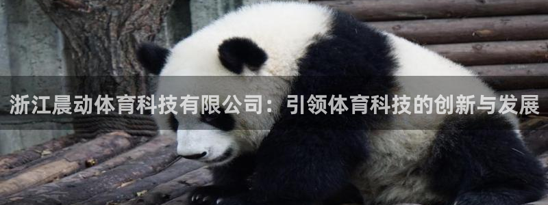 浙江晨动体育科技有限公司：引领体育科技的创新与发展