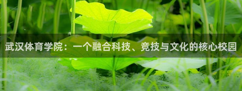 武汉体育学院：一个融合科技、竞技与文化的核心校园
