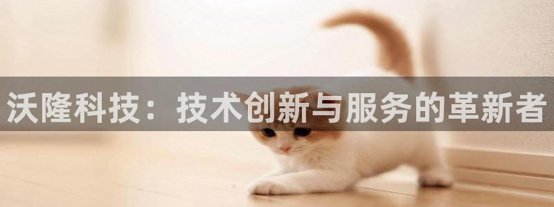 沃隆科技：技术创新与服务的革新者