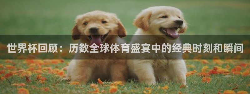 世界杯回顾：历数全球体育盛宴中的经典时刻和瞬间